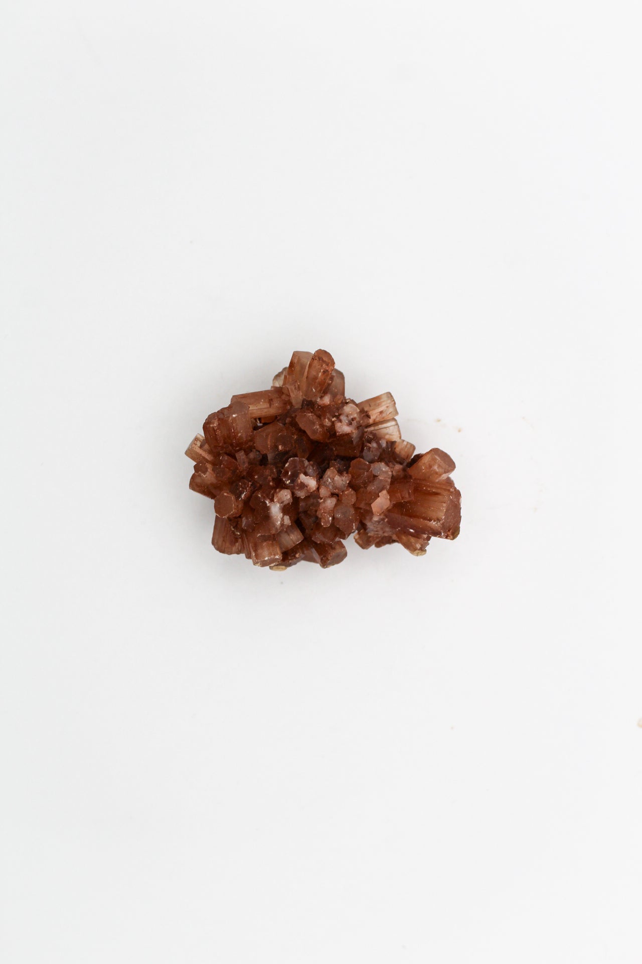 Aragonite cluster with nice crystal formations.