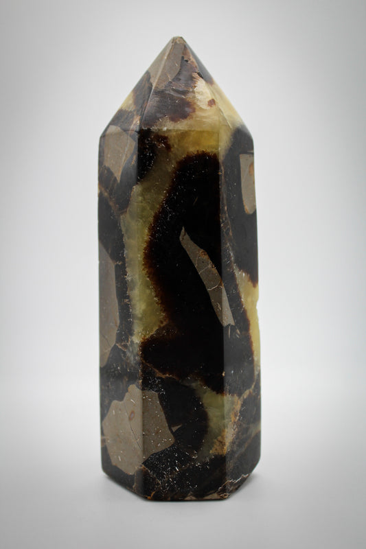 Polished septarian tower.