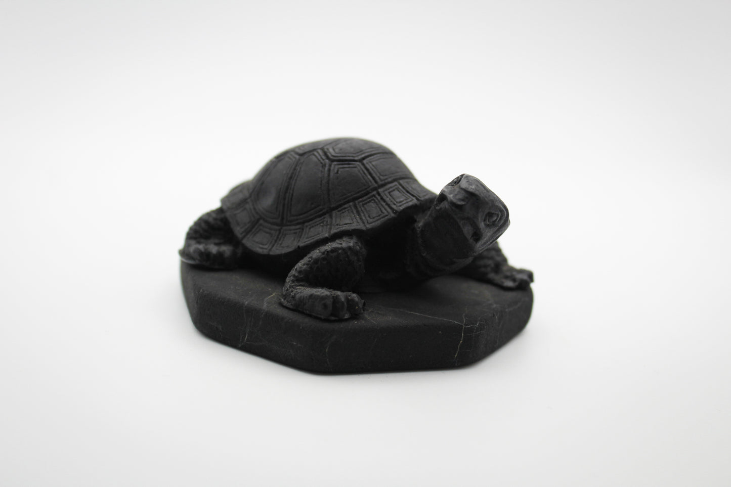 Shungite Turtle