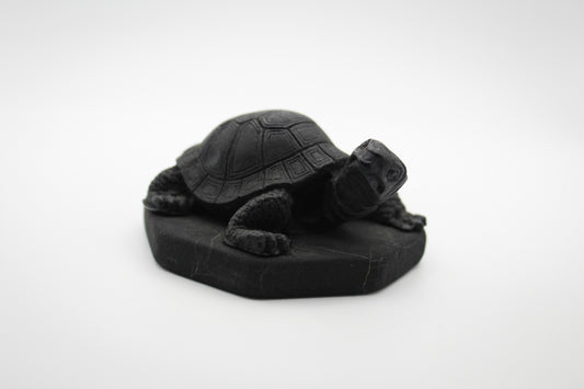 Shungite Turtle