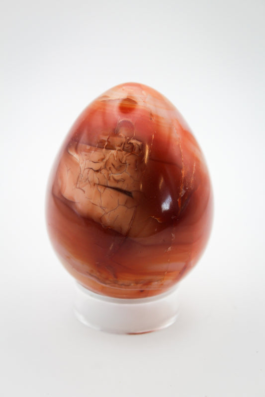 A polished carnelian egg-shaped stone on a clear stand.