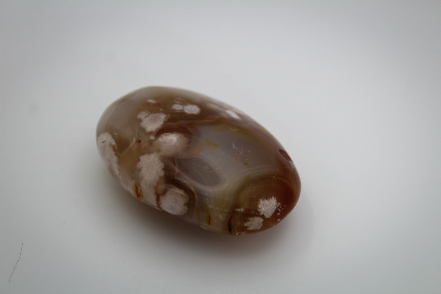 Polished flower agate palm stone.