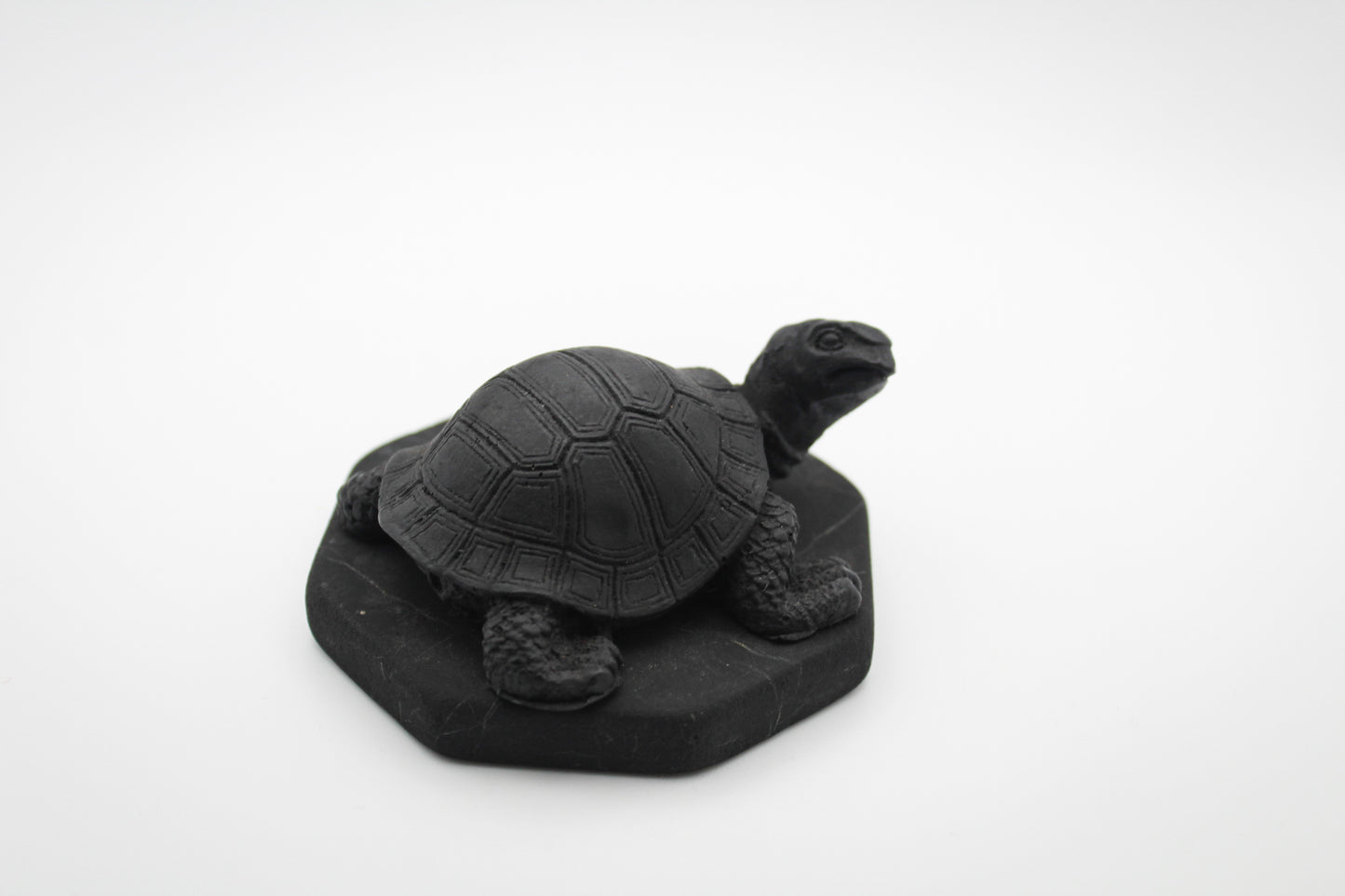 Shungite Turtle