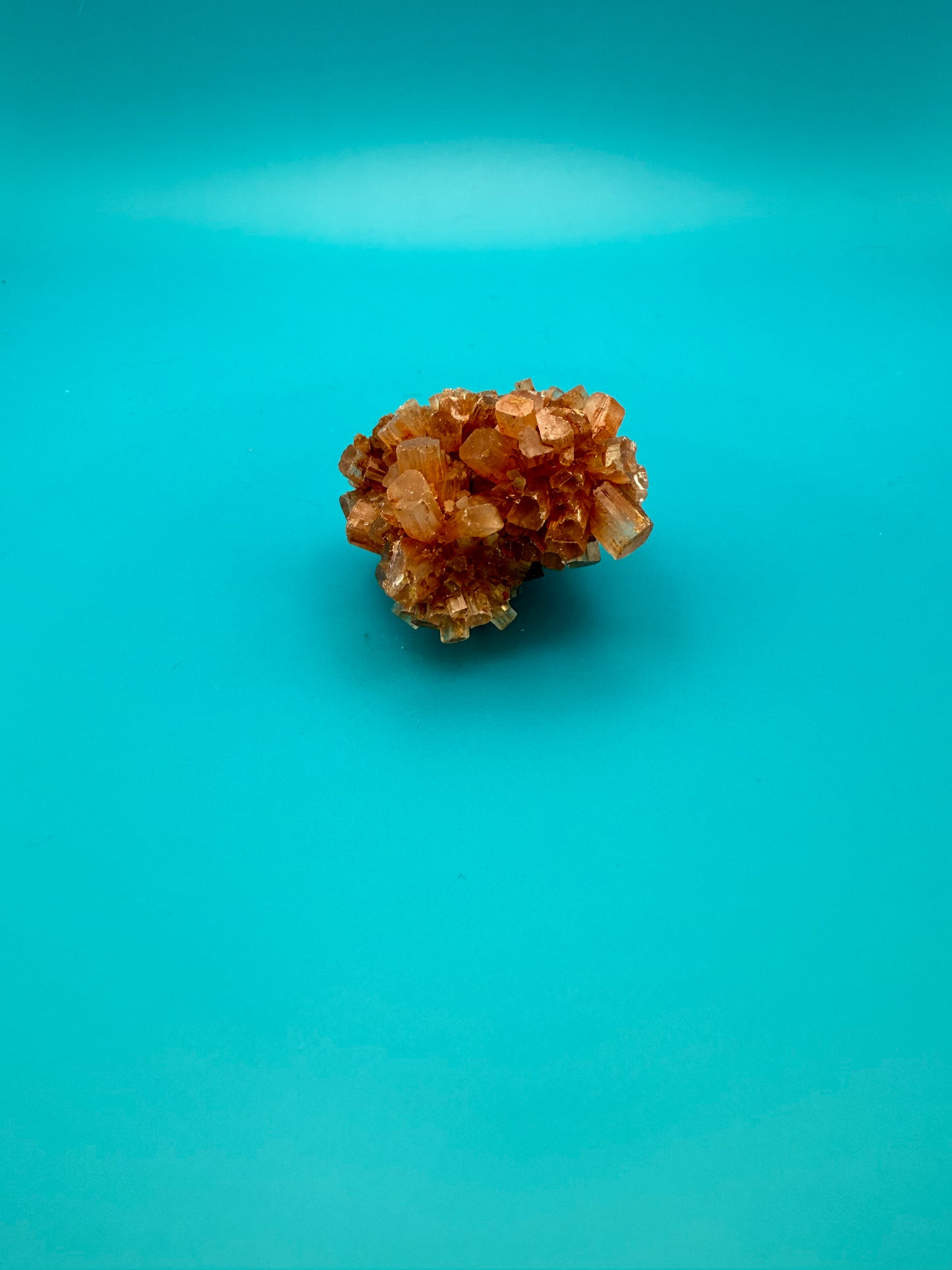 Aragonite cluster with nice crystal formations.