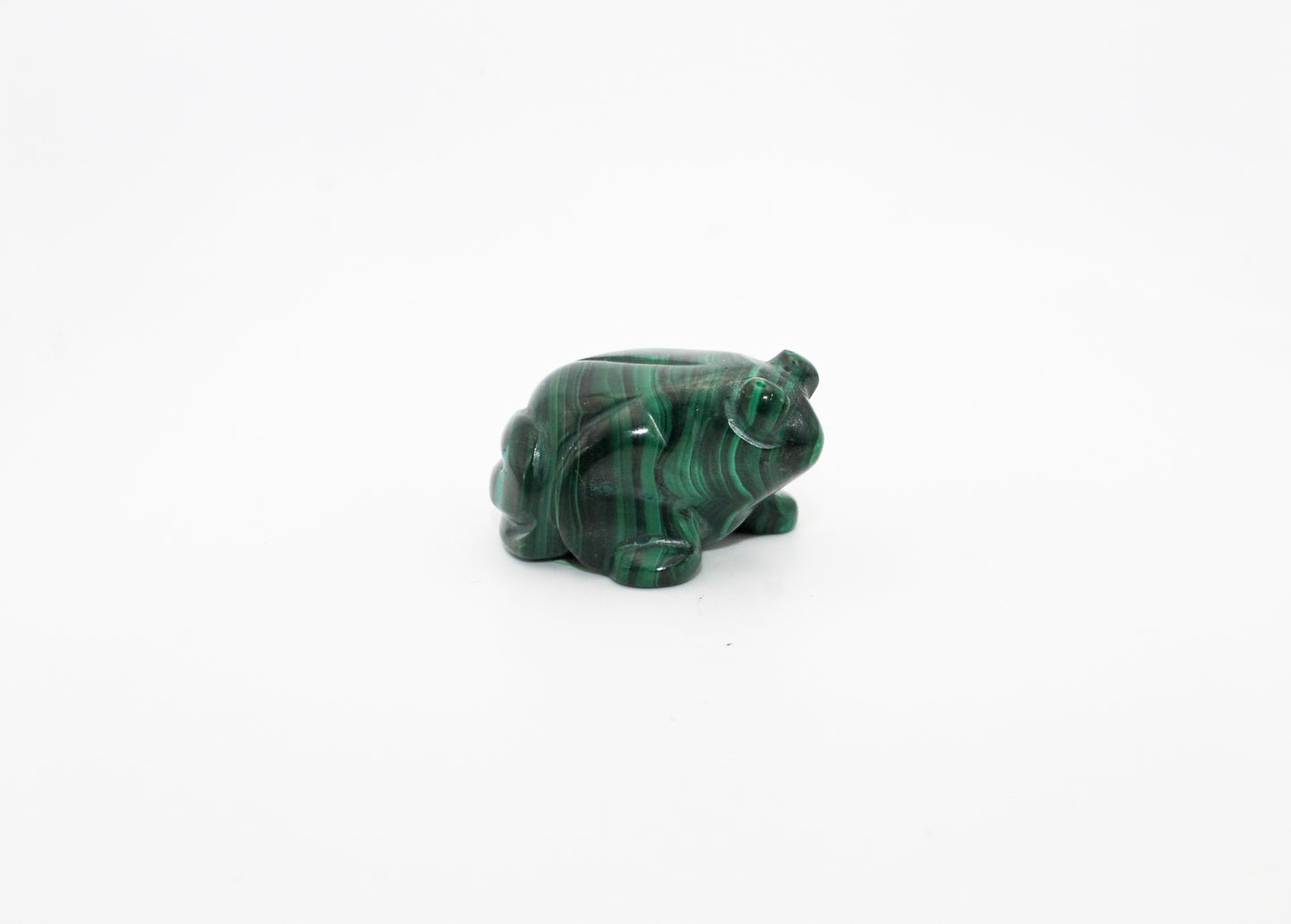 Malachite Frog 3
