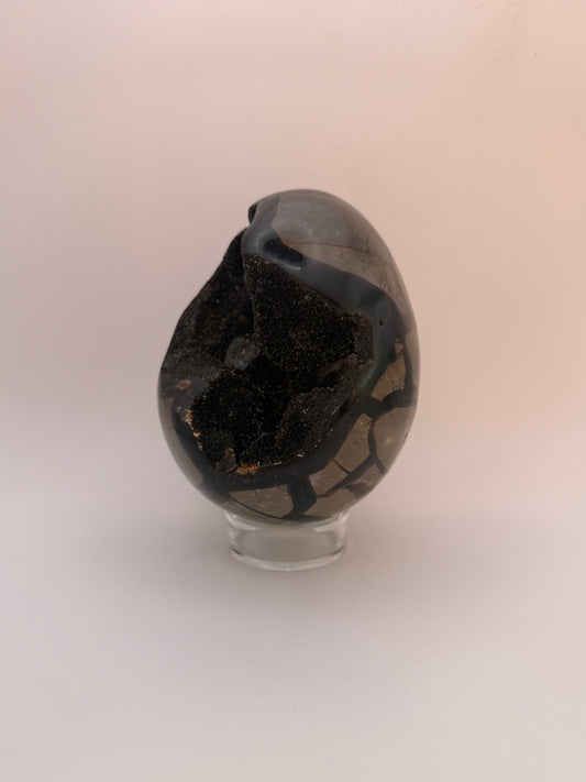 Large septarian egg.
