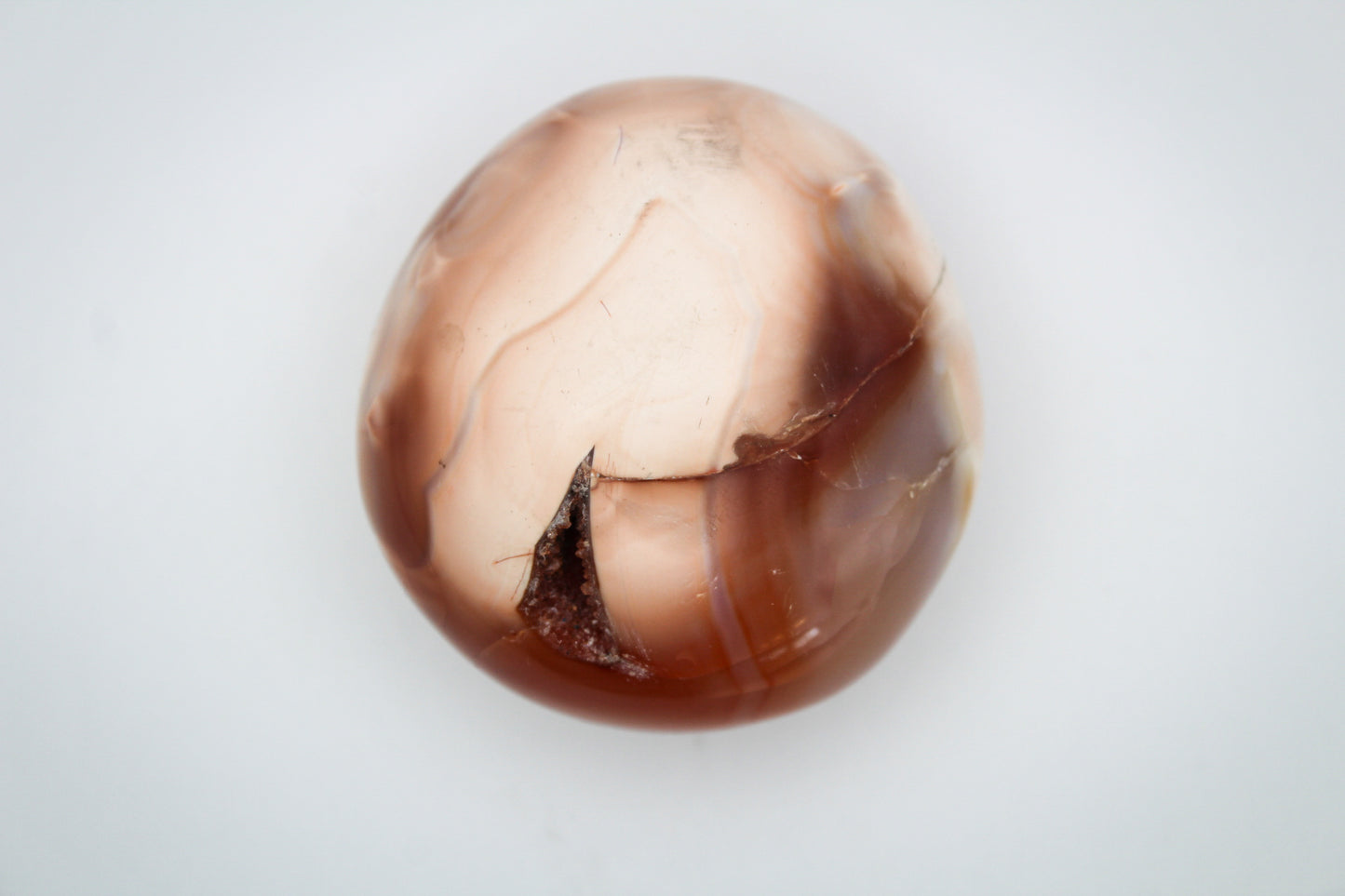 Carnelian Gallet 3