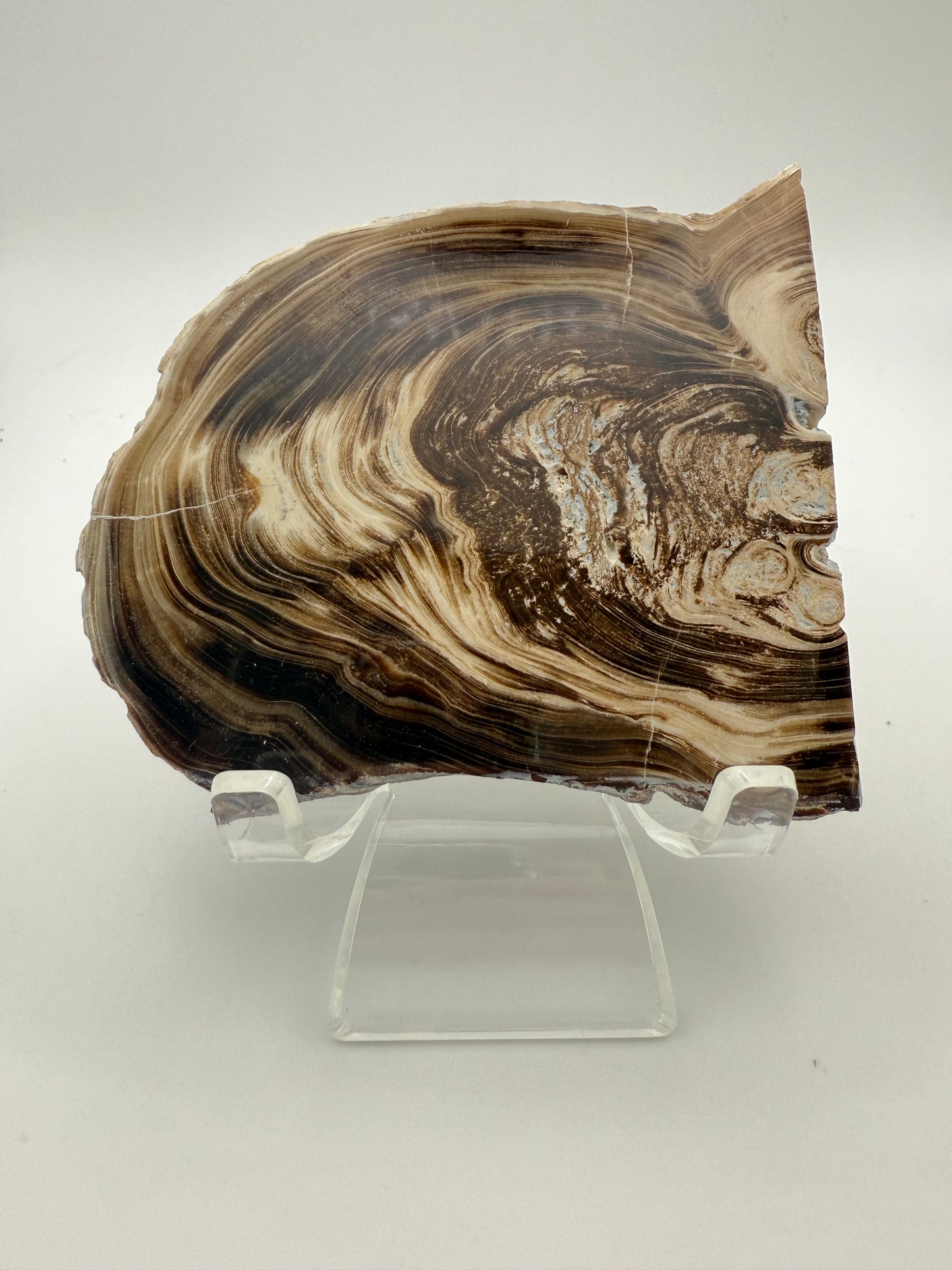 Polished chocolate calcite crystal tile.