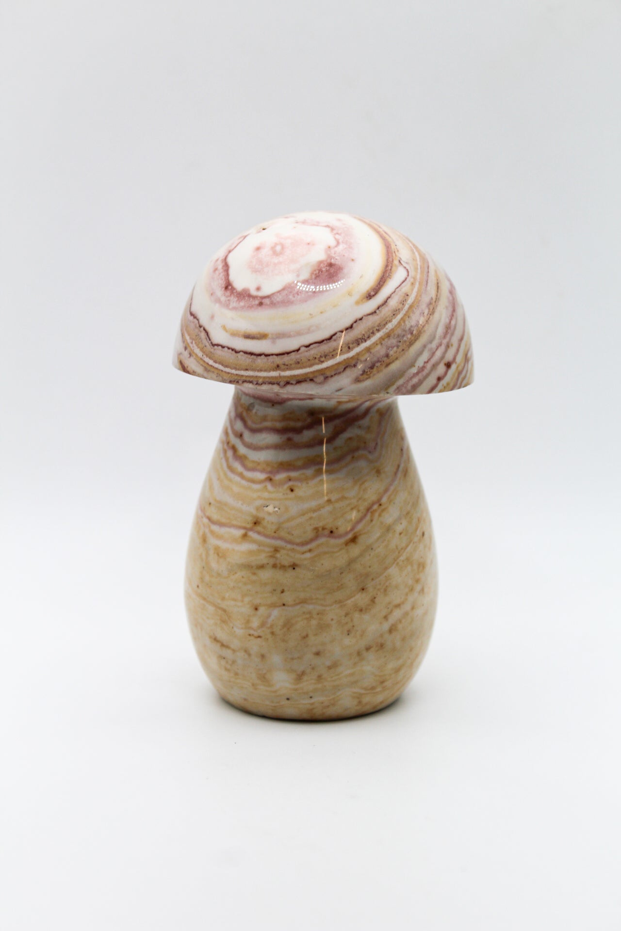 Polychrome Mushroom 2