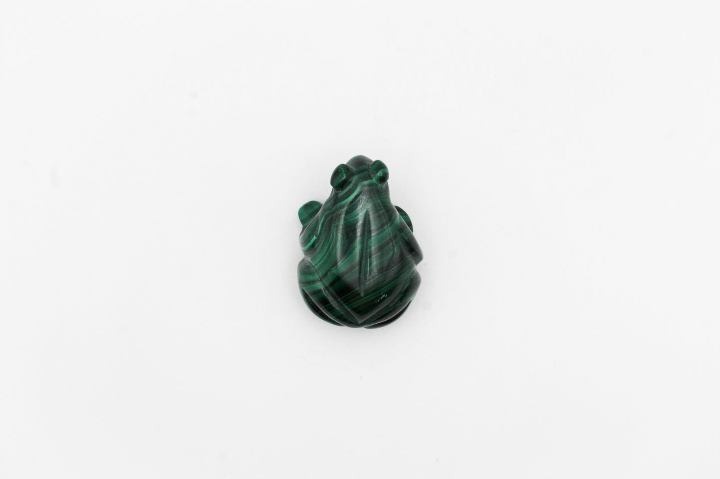 Malachite Frog 3