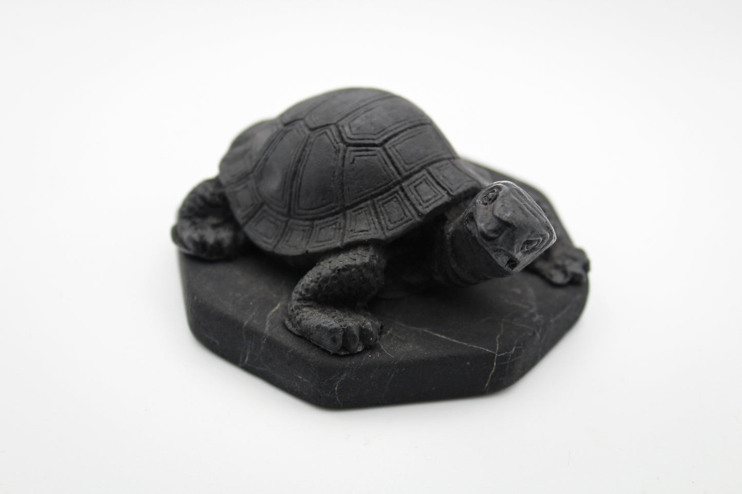 Shungite Turtle
