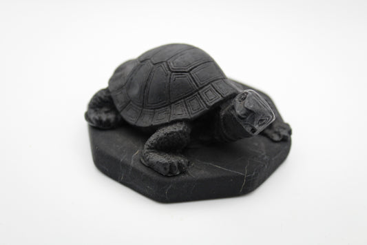 Shungite Turtle