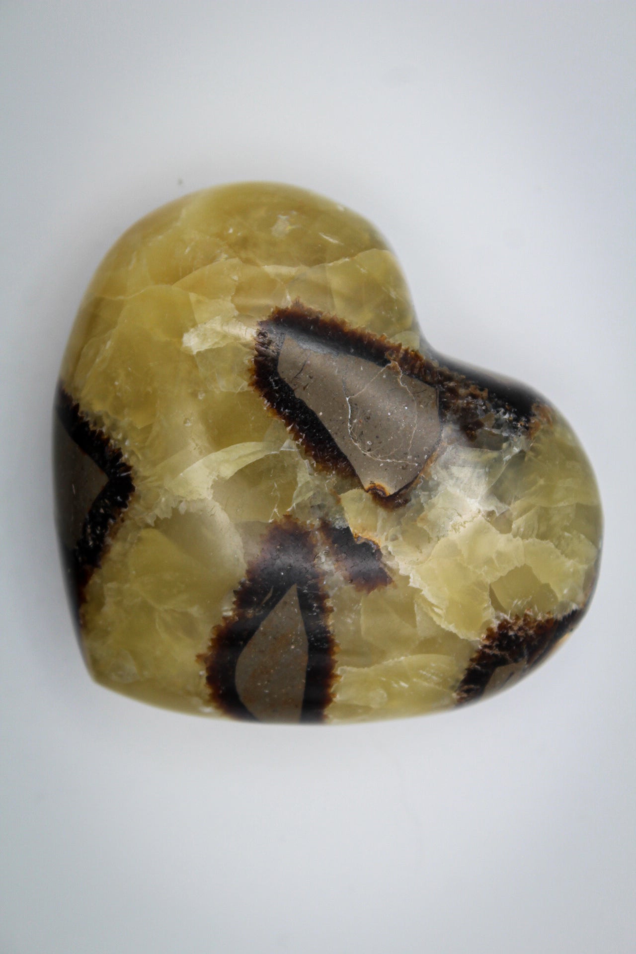 Polished septarian heart.