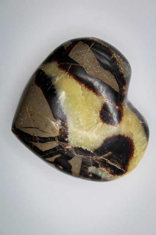 Polished septarian heart.