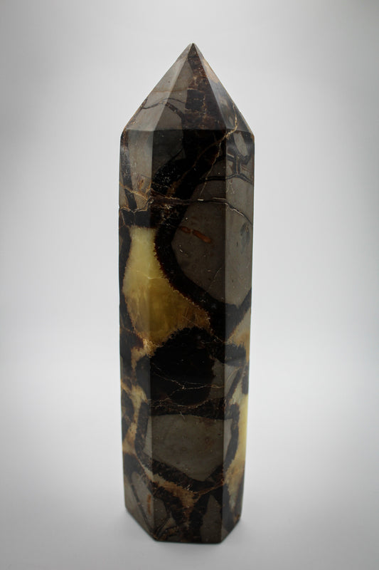 Polished septarian tower.