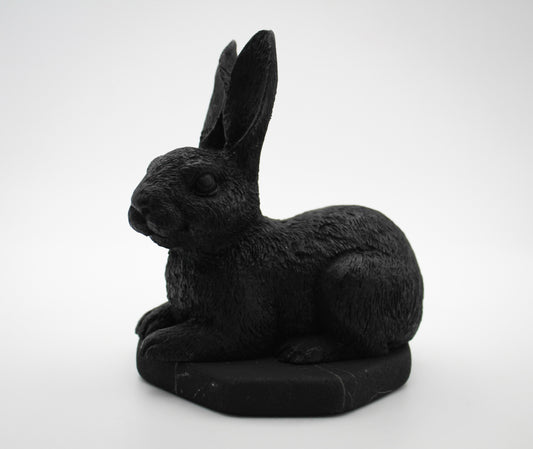 Shungite Rabbit