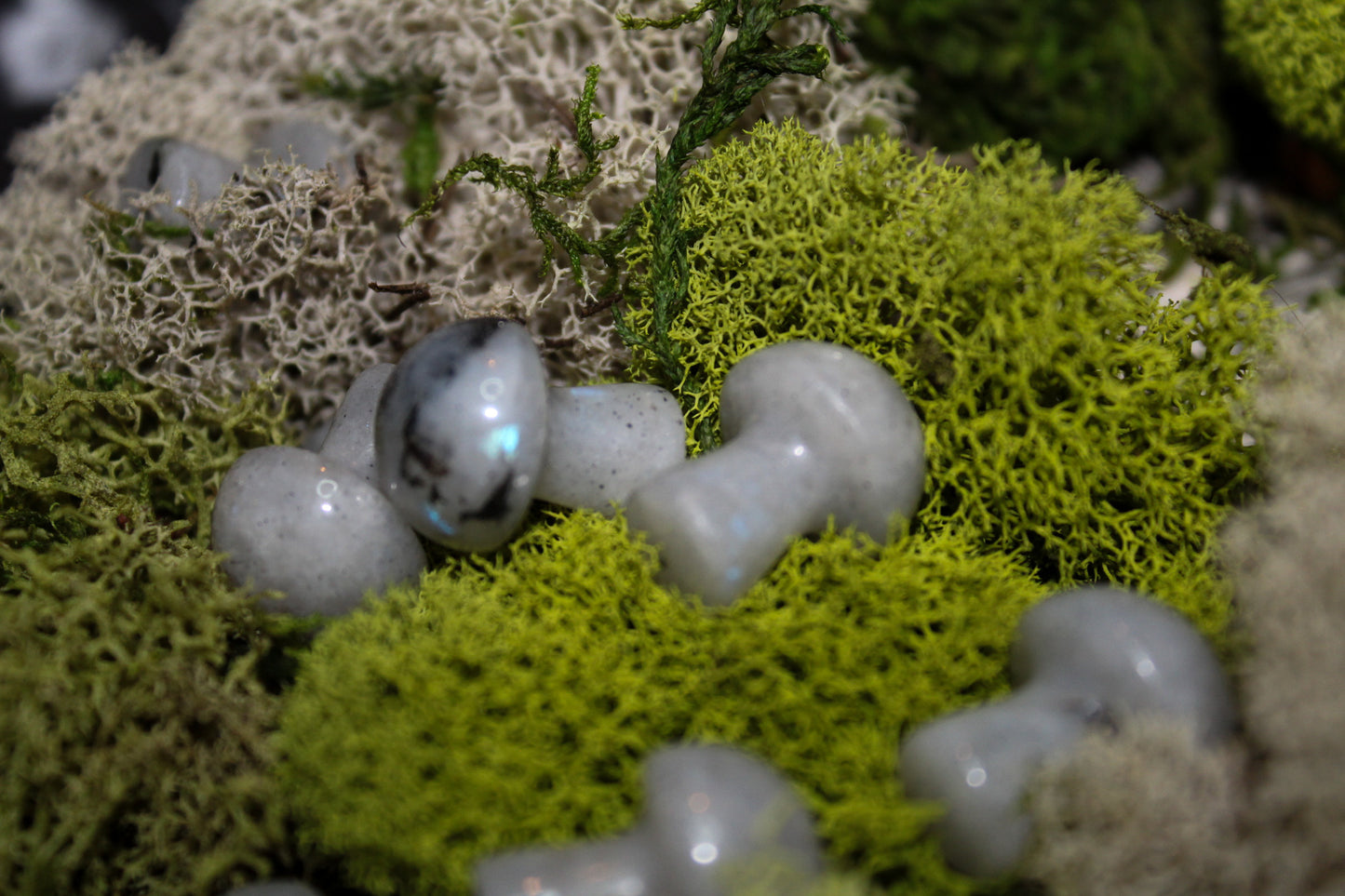 Mini Rainbow Moonstone Mushrooms