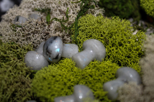 Rainbow moonstone mini mushrooms.