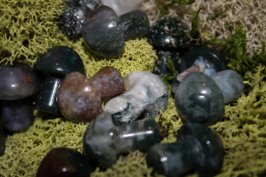 A collection of moss agate stones with varying shades of green and white, some resembling mushroom shapes, displayed on a bed of moss.
