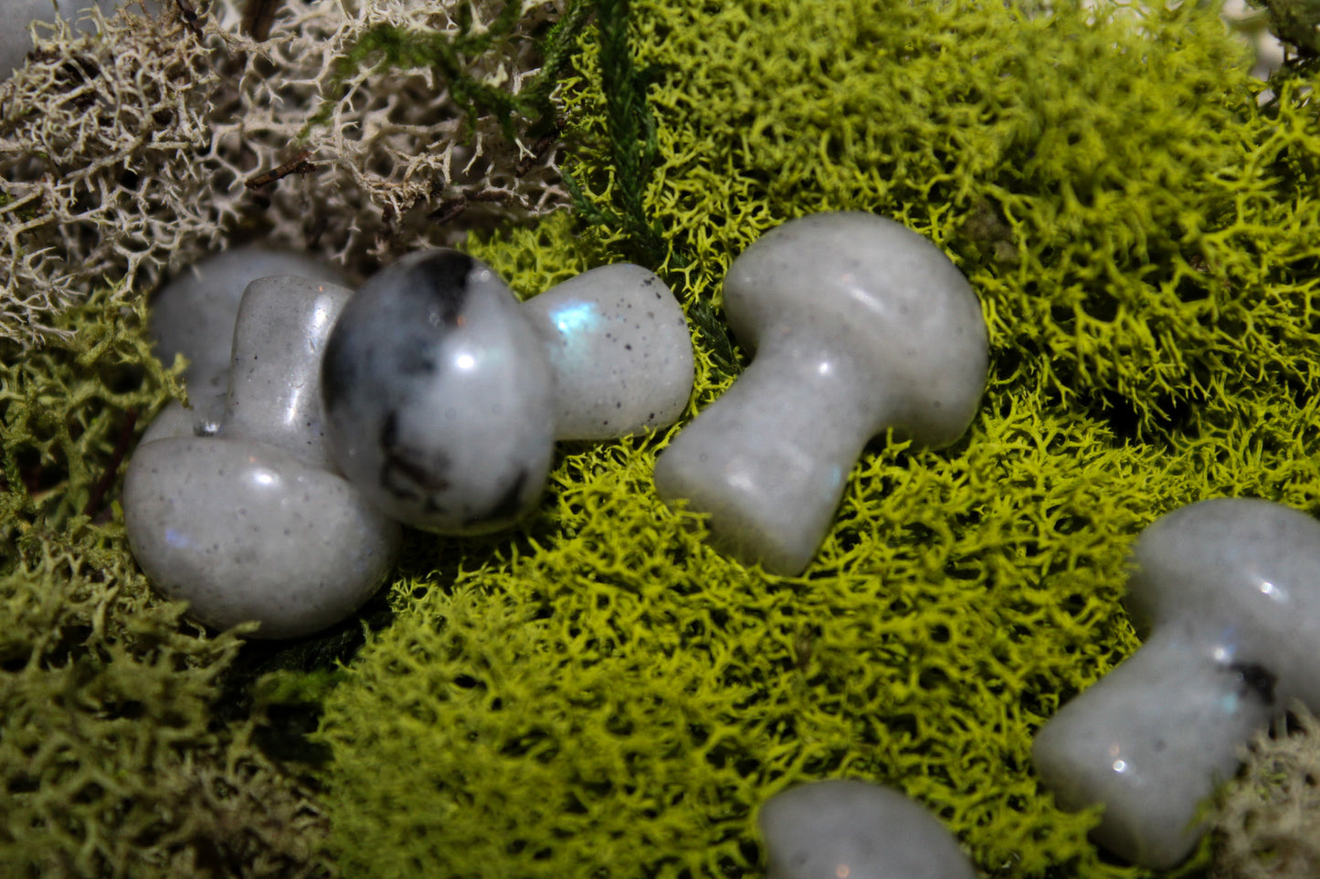 Mini Rainbow Moonstone Mushrooms
