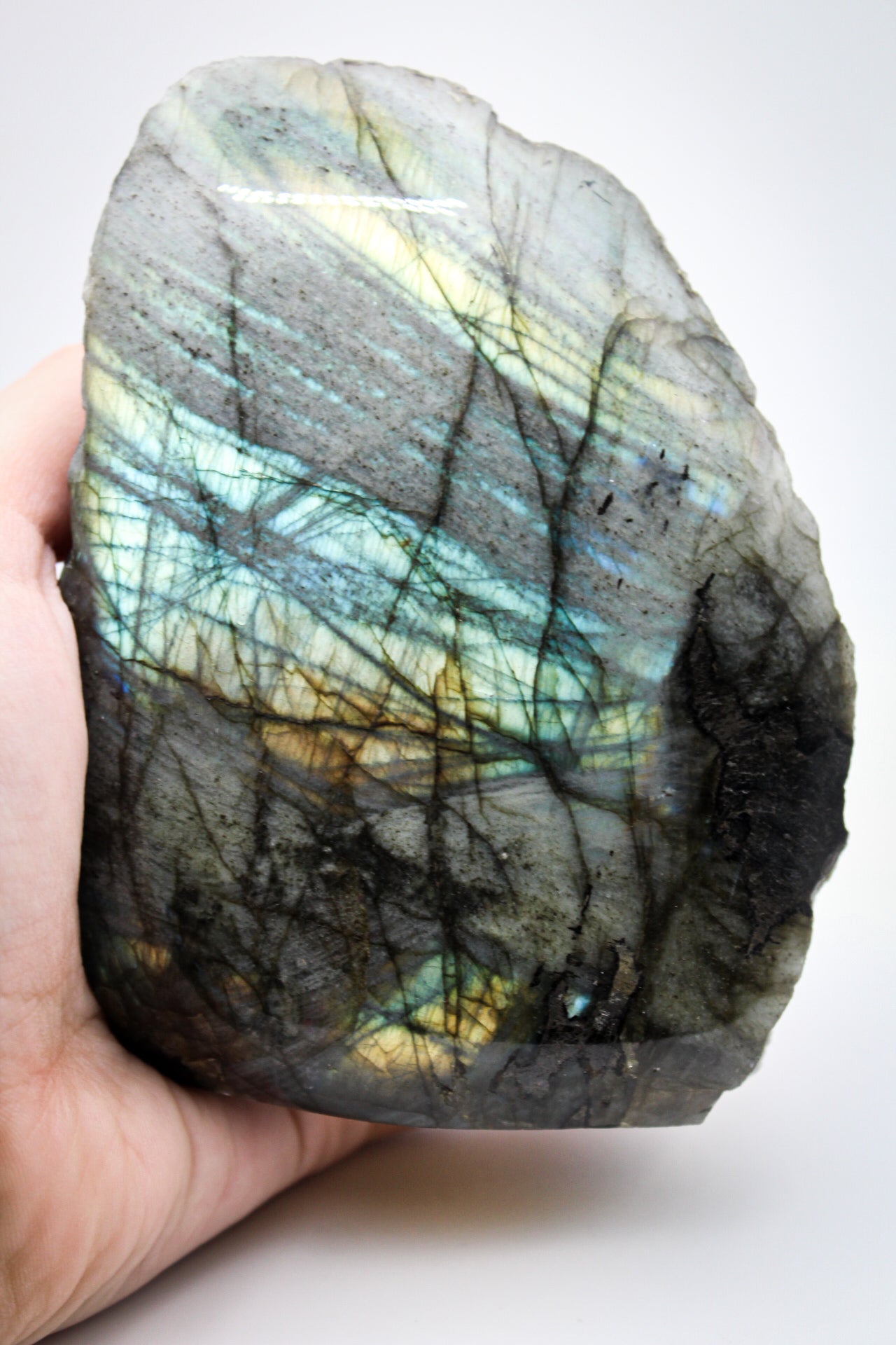 Labradorite Half Polished 3