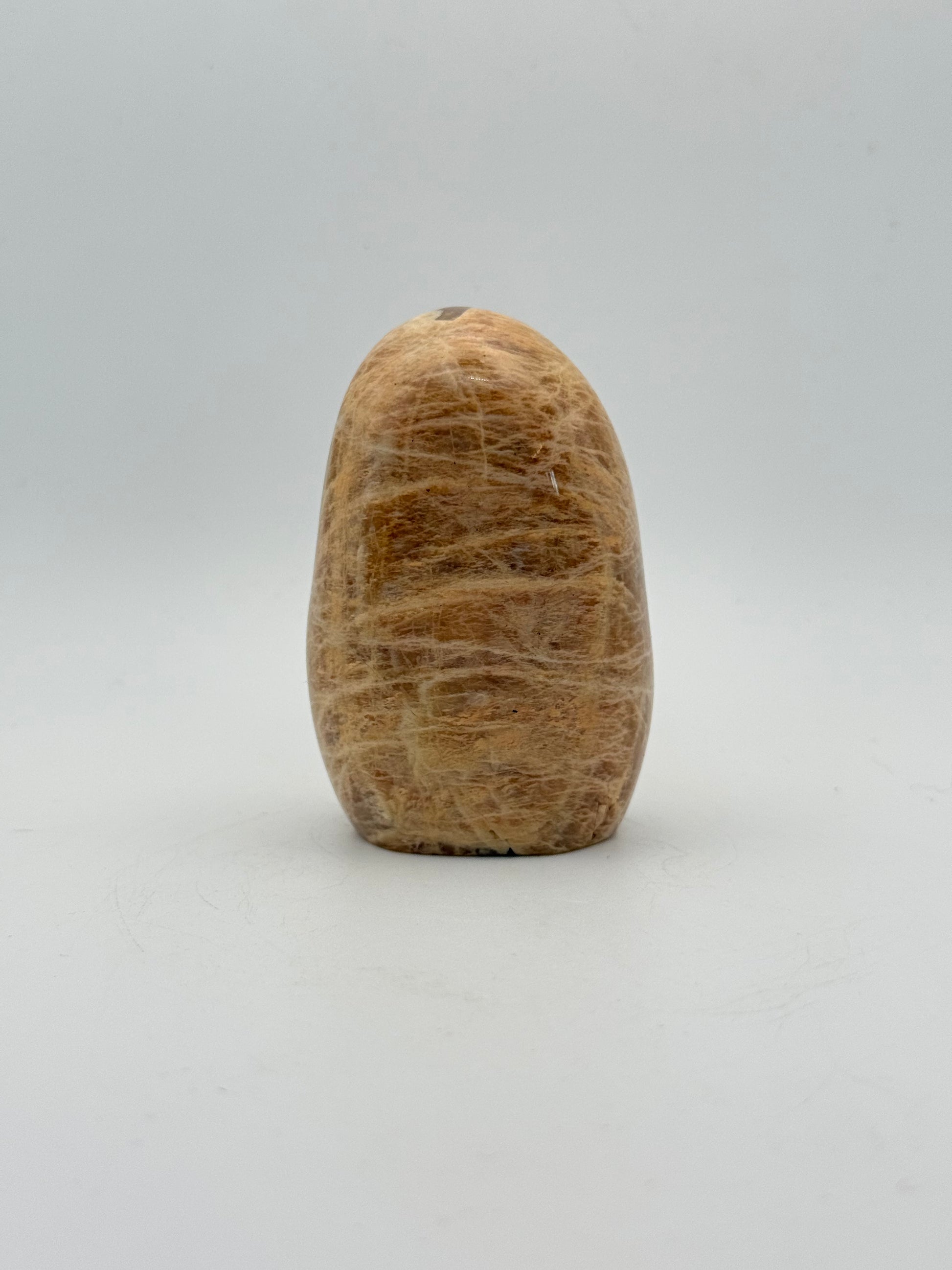 Polished yellow moonstone free form.