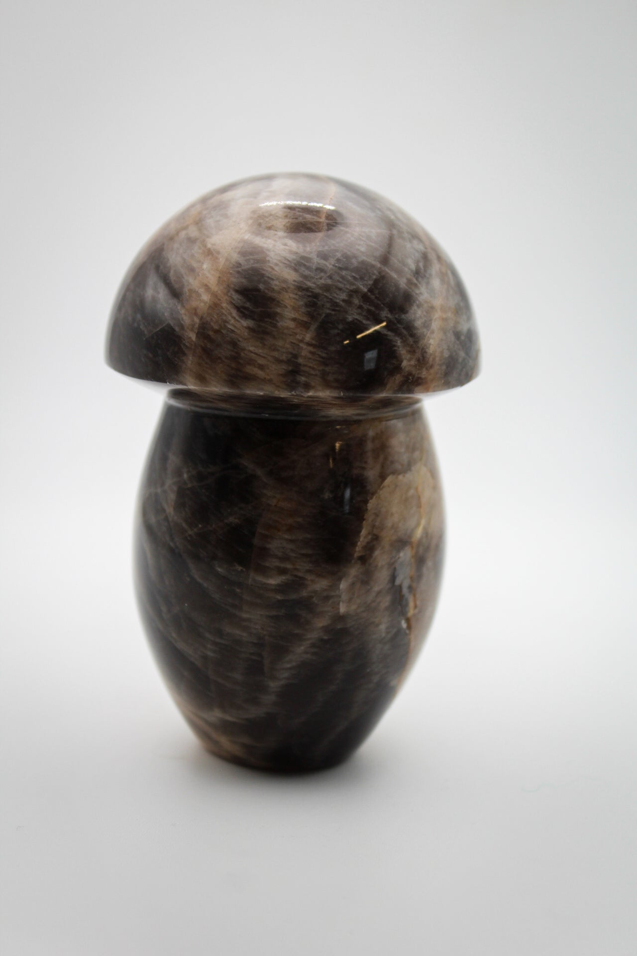 Black Moonstone Mushroom 2