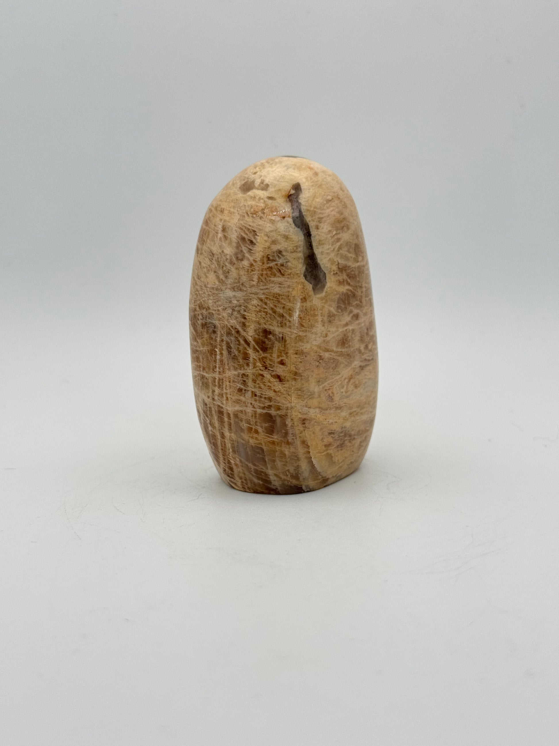 Polished yellow moonstone free form.