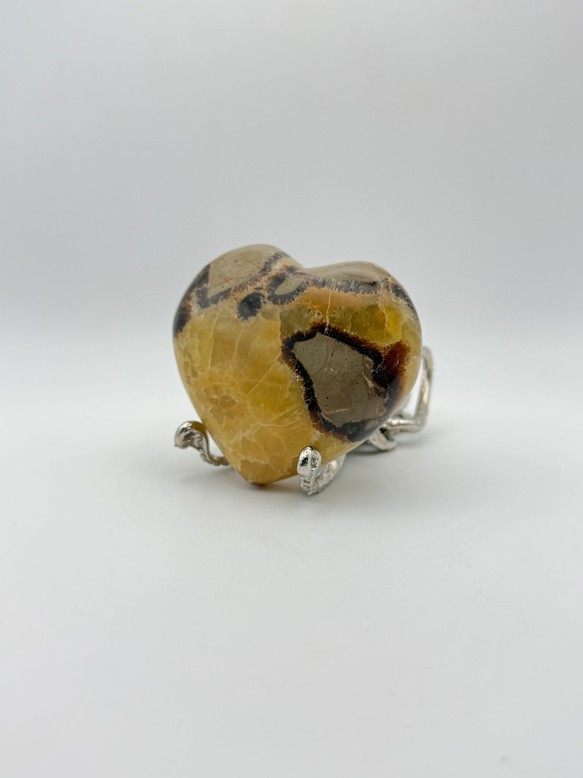 Polished septarian heart.