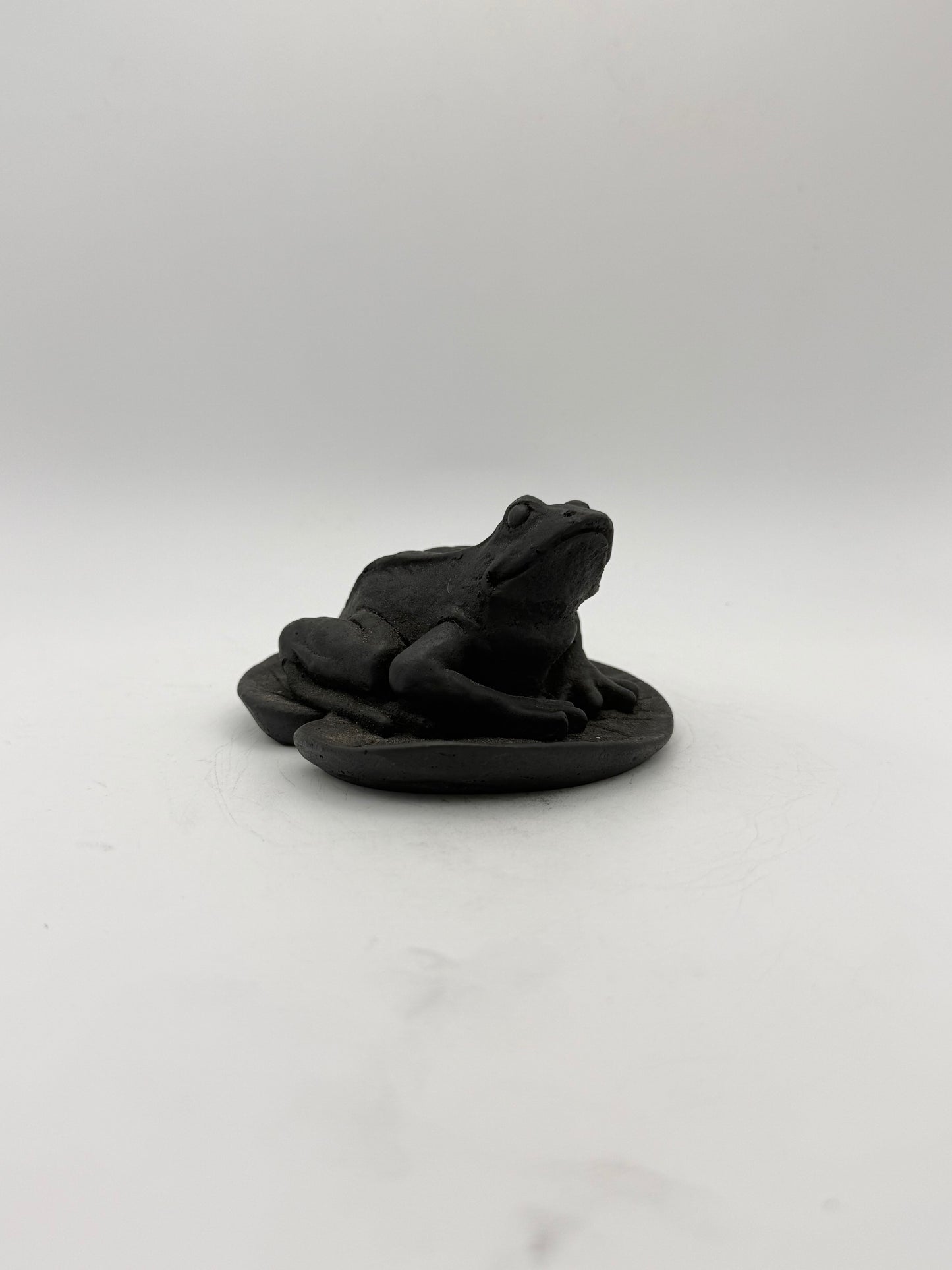 Shungite carving of a frog on a leaf.
