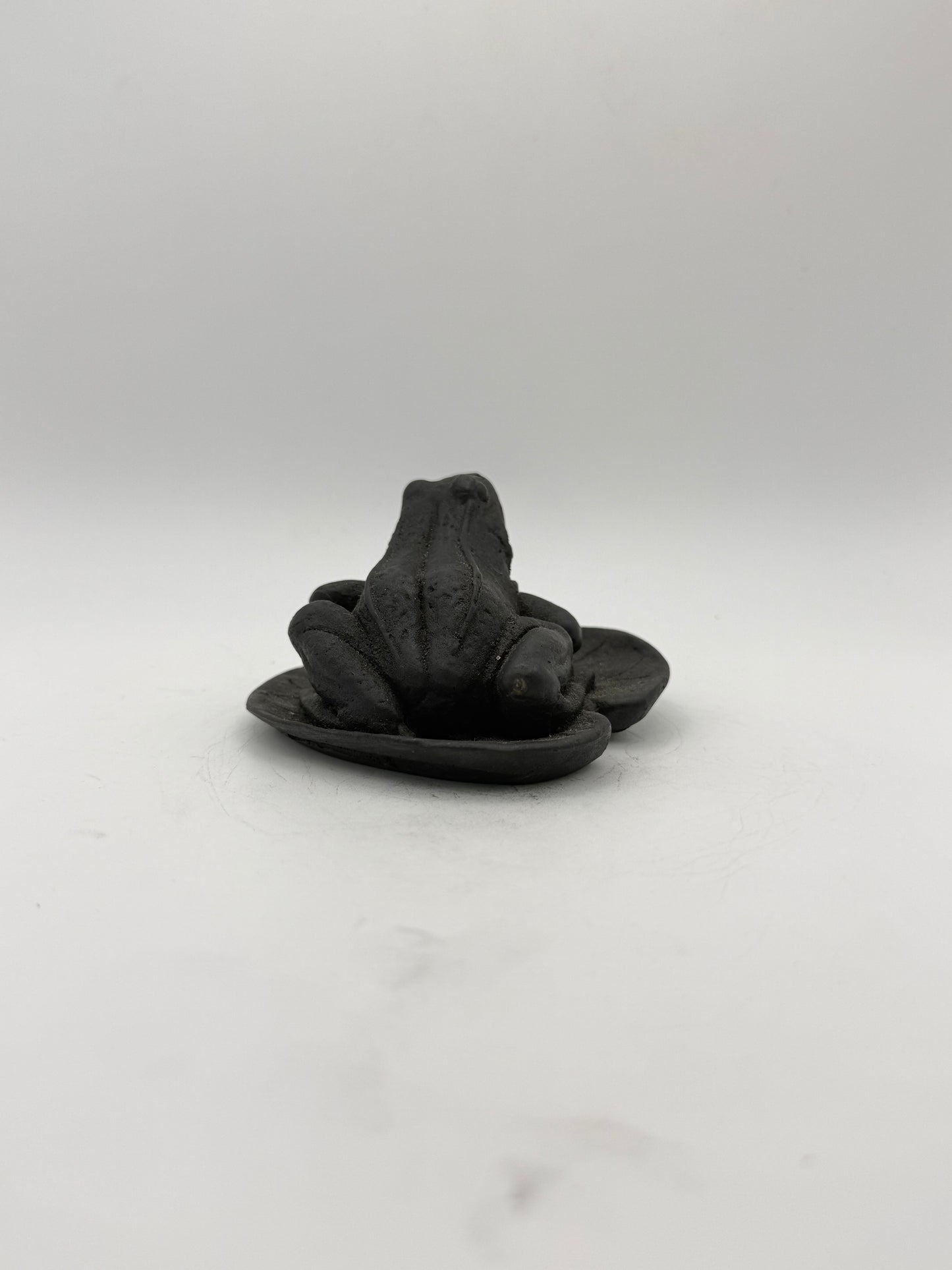 Shungite carving of a frog on a leaf.