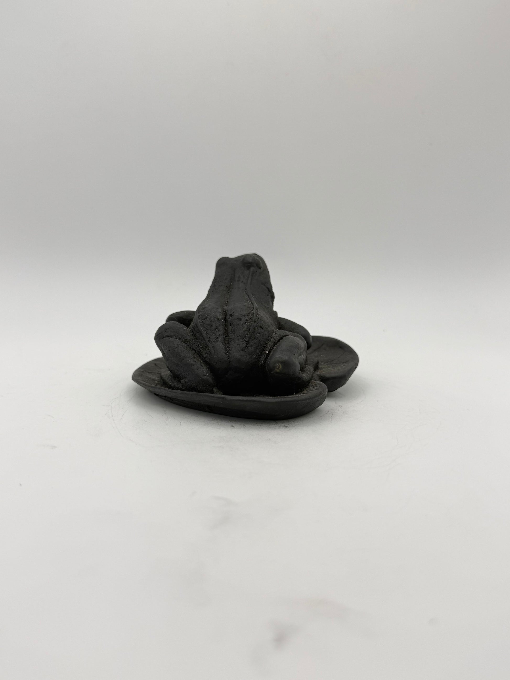 Shungite carving of a frog on a leaf.