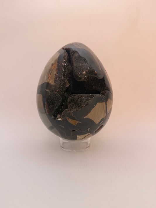 Large septarian egg.