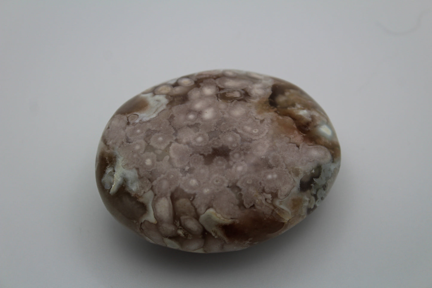 Flower Agate palm 8