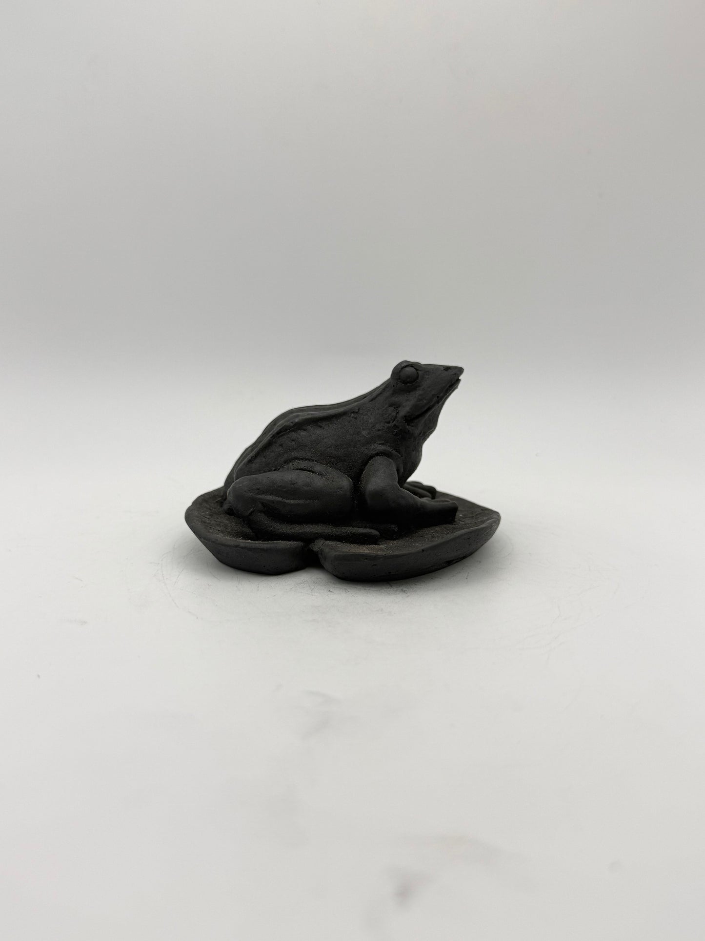 Shungite carving of a frog on a leaf.