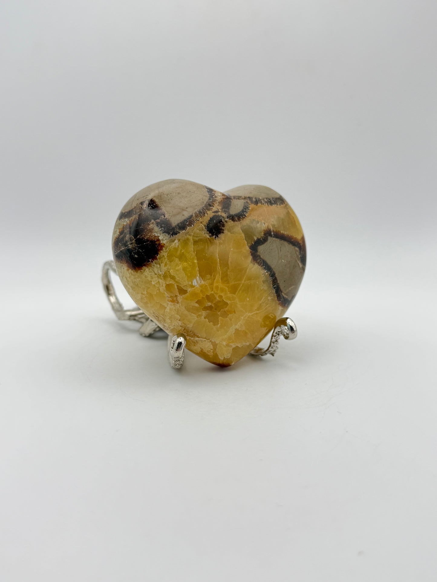 Polished septarian heart.