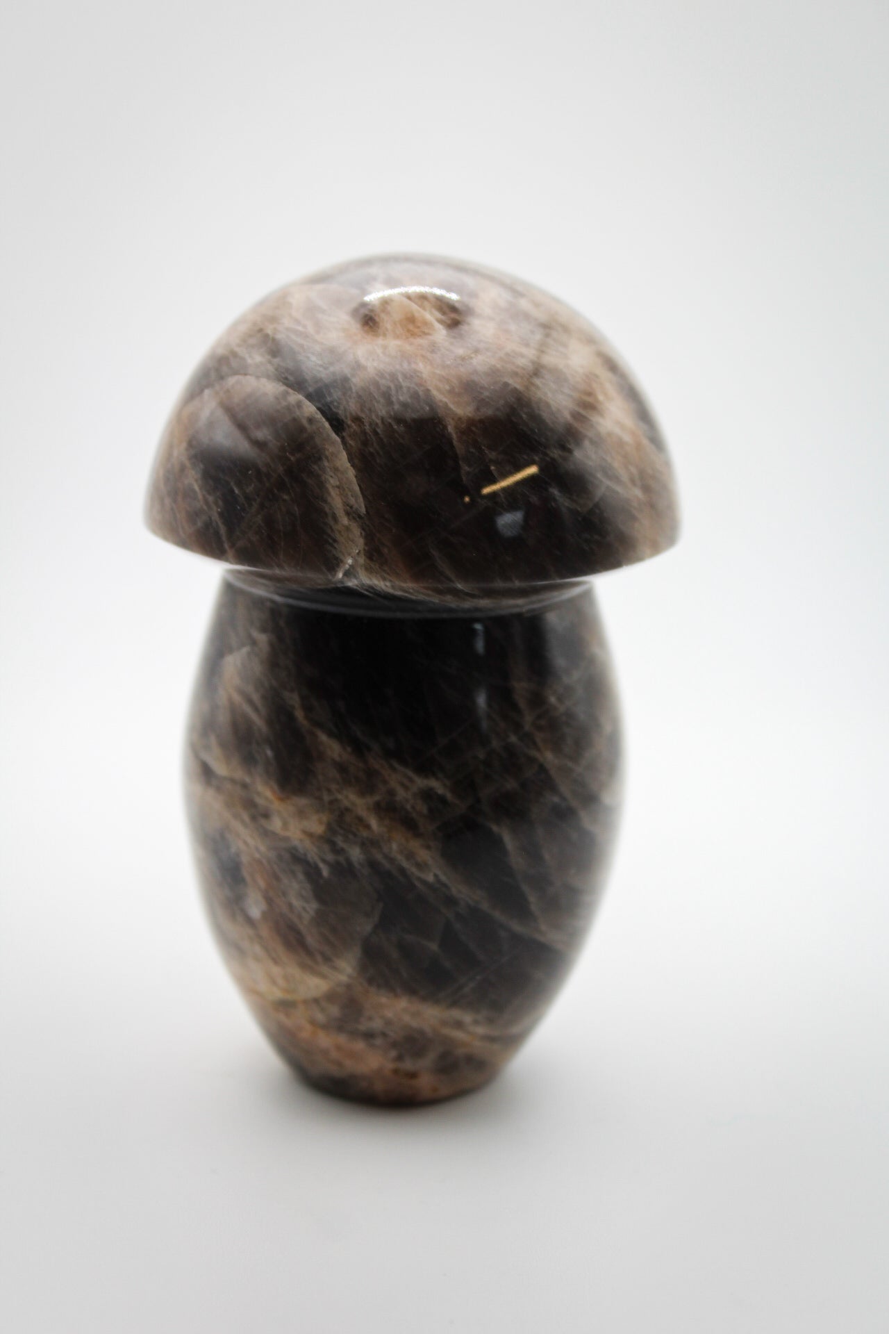 Black Moonstone Mushroom 2