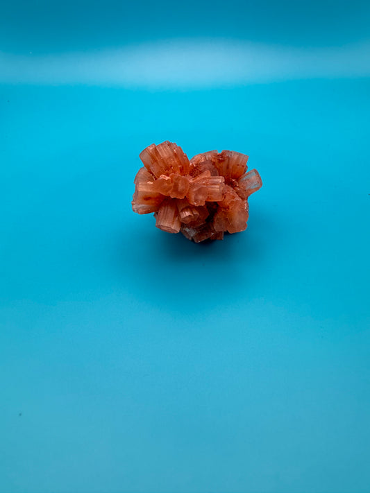 Aragonite cluster with nice crystal formations.