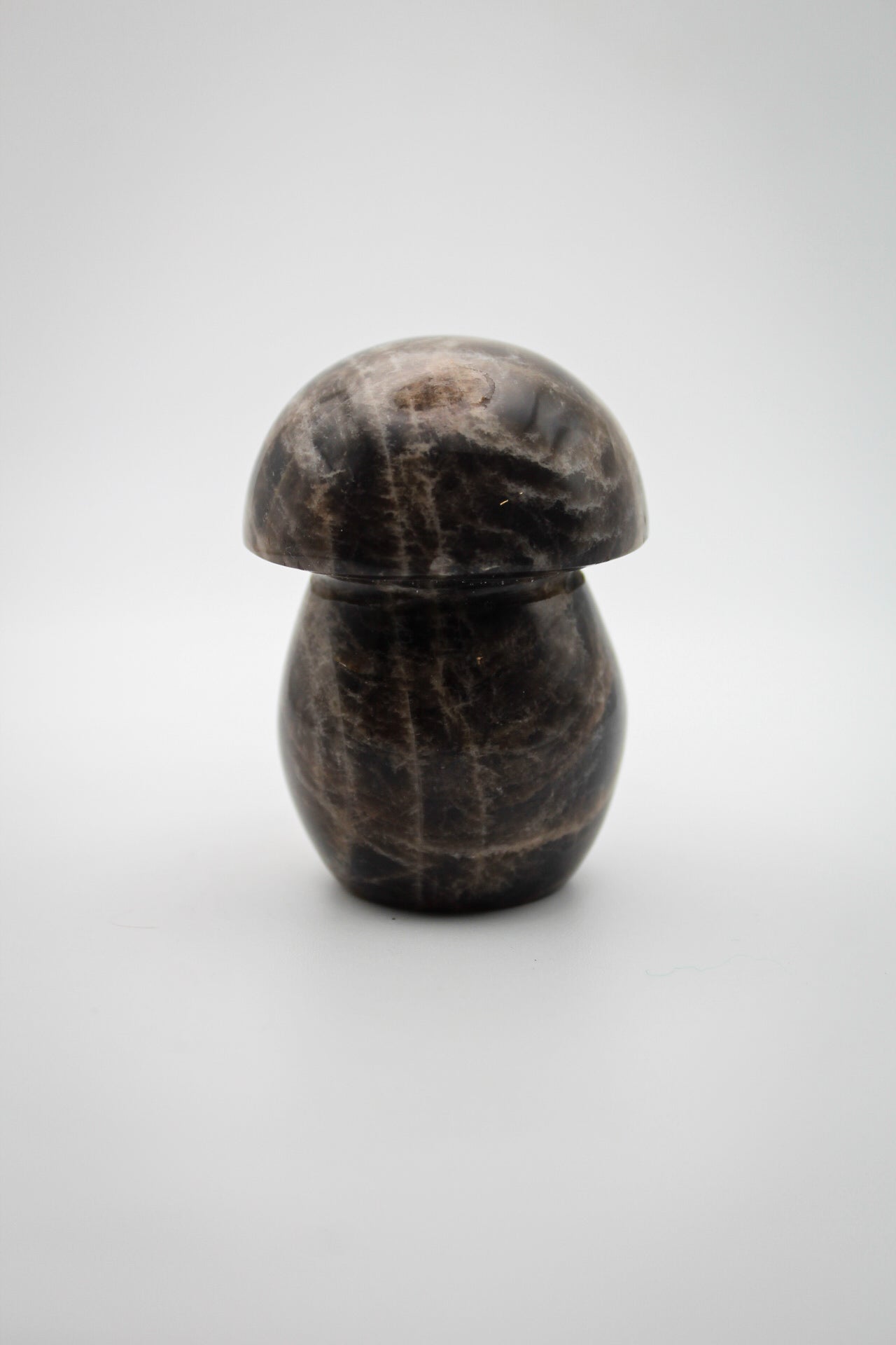 Black Moonstone Mushroom A