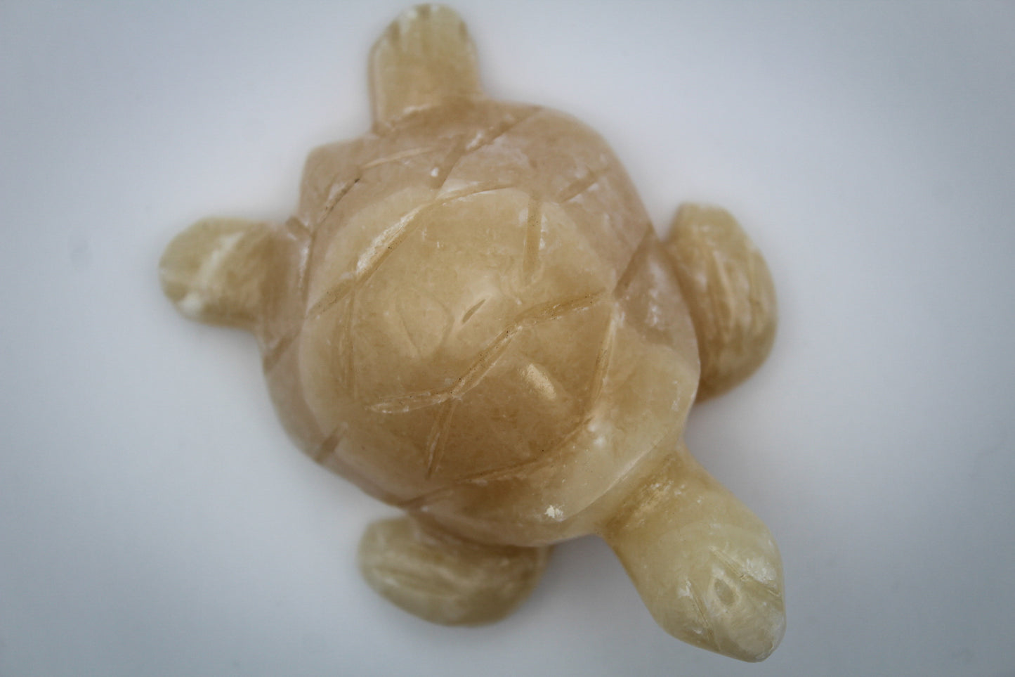 Sea turtle carving