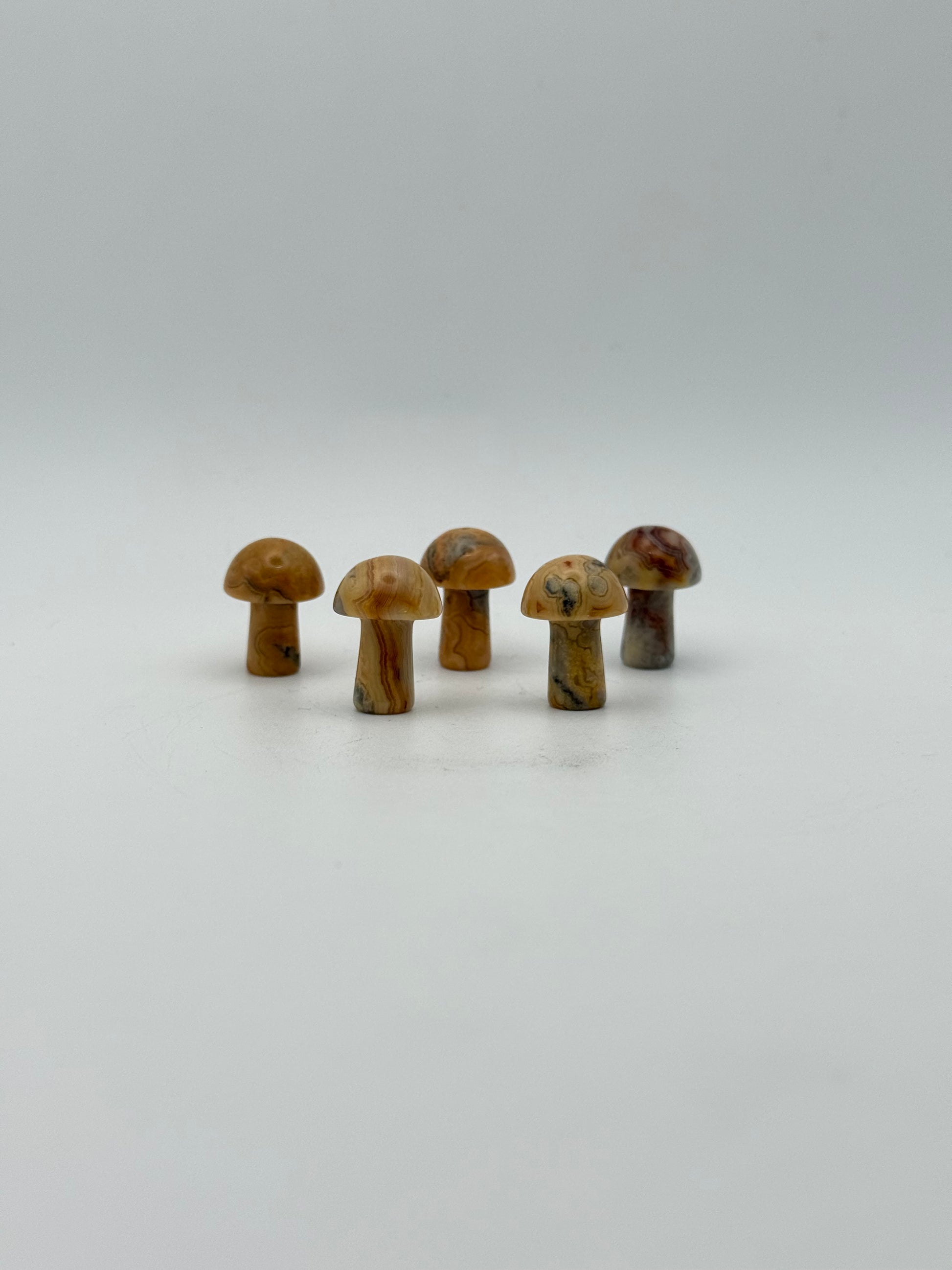 Set of five yellow crazy lace agate mushrooms.