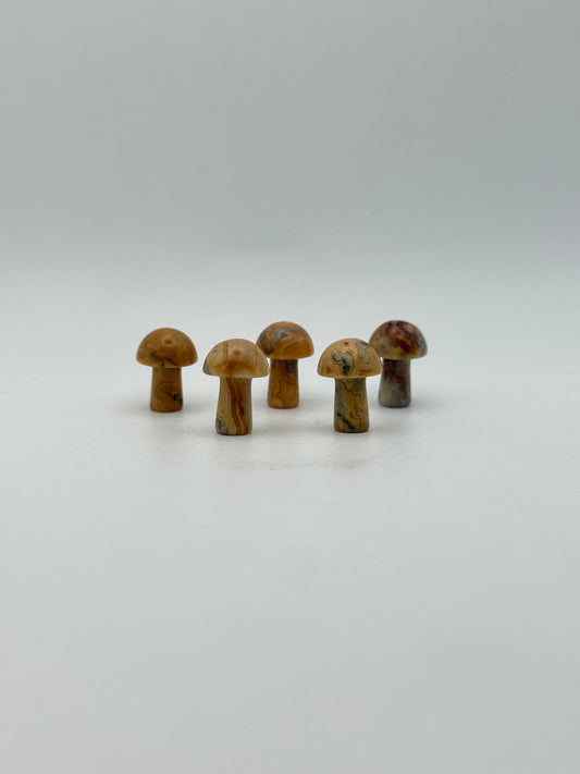 Set of five yellow crazy lace agate mushrooms.