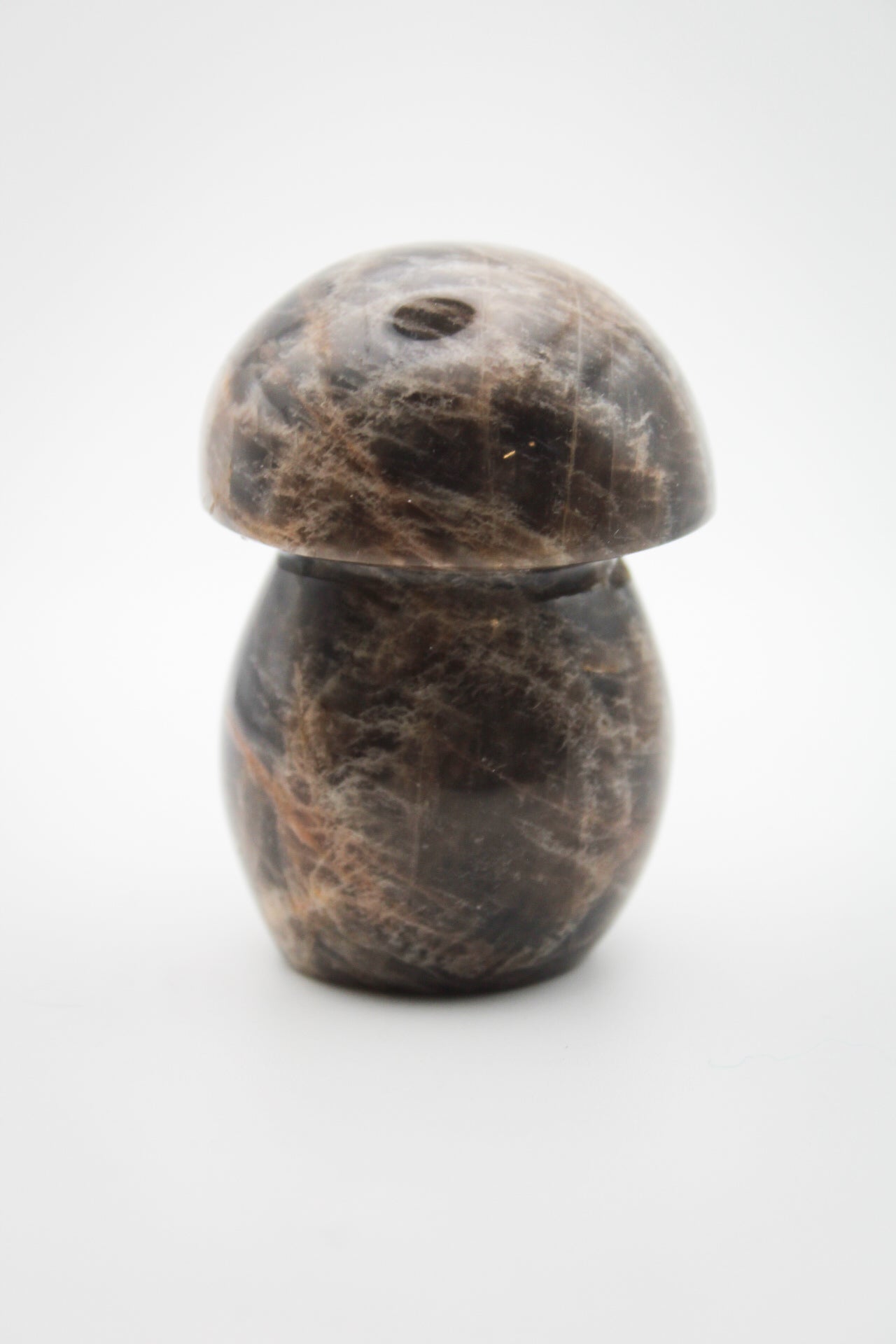 Black Moonstone Mushroom A