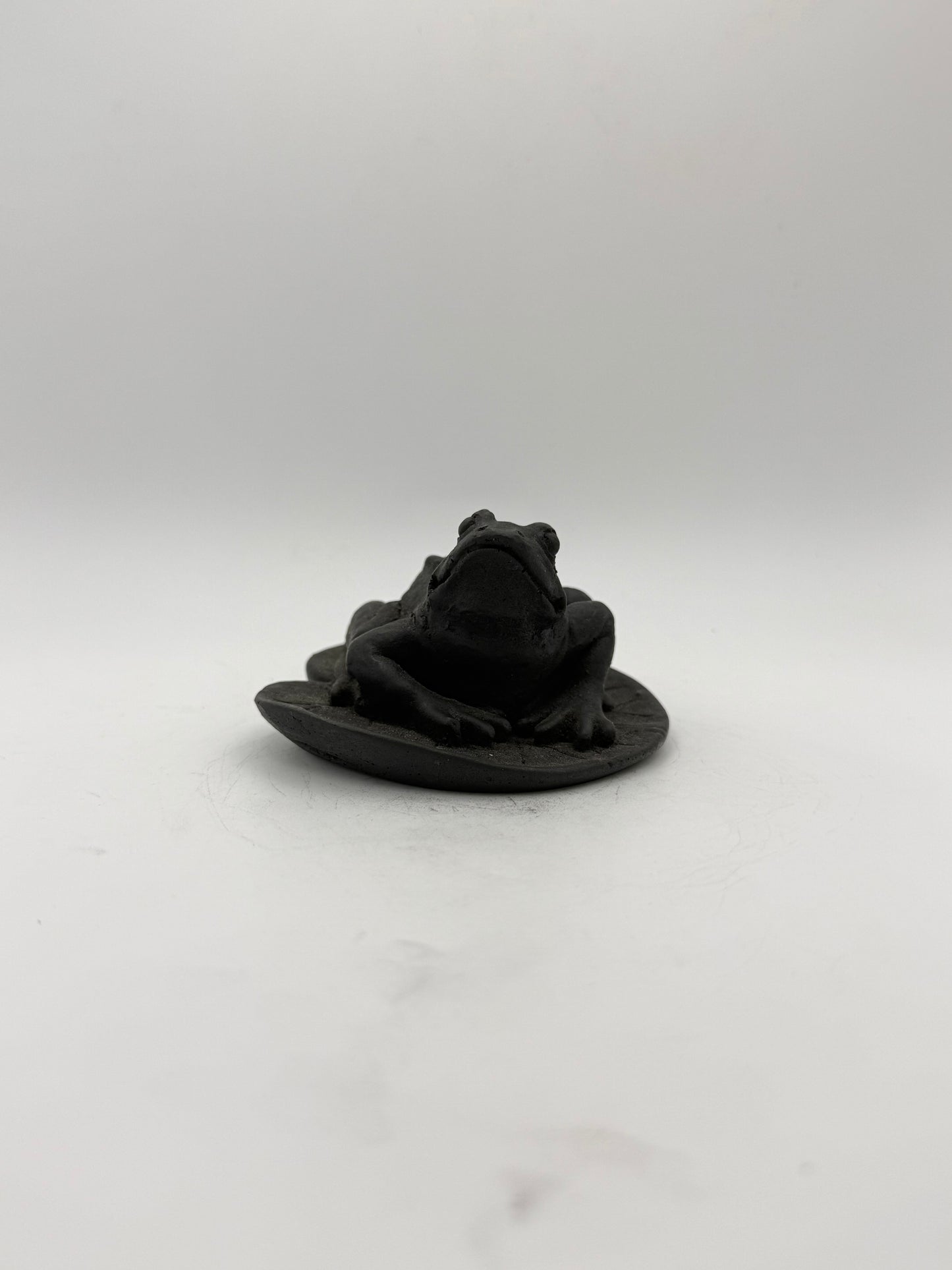 Shungite carving of a frog on a leaf.