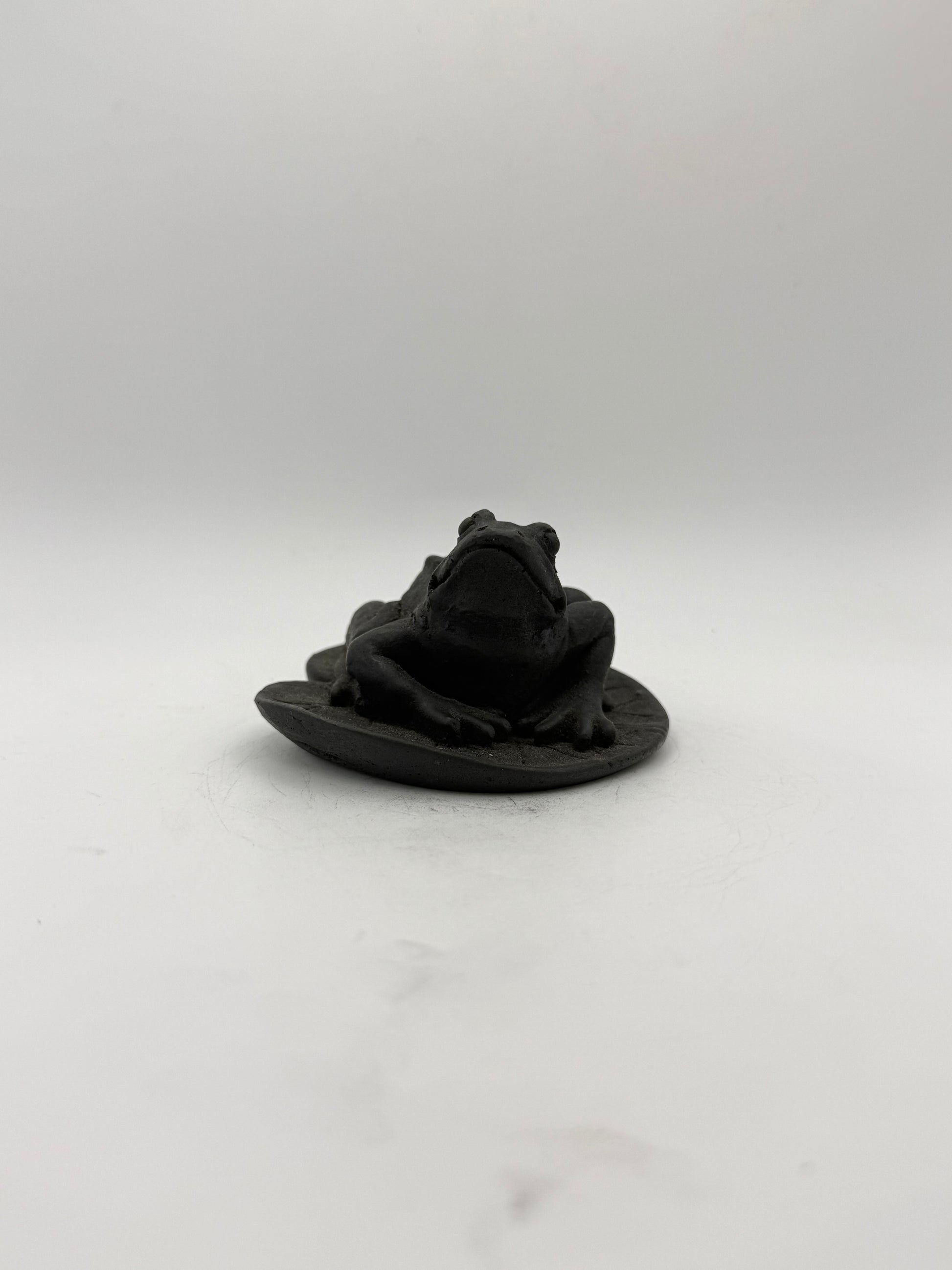 Shungite carving of a frog on a leaf.