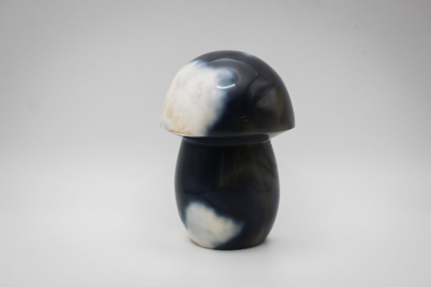 Orca Agate Mushroom 4