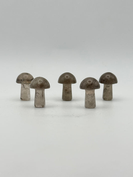 Smoky quartz mini mushrooms.
