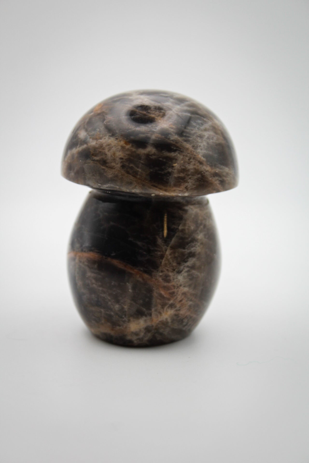 Black Moonstone Mushroom A