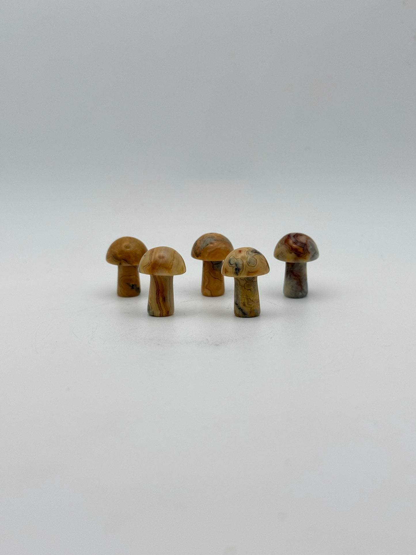 Set of five yellow crazy lace agate mushrooms.