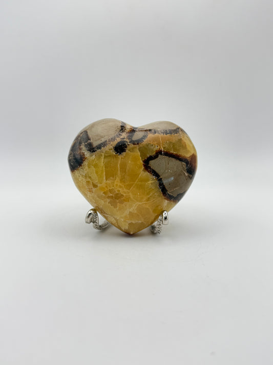 Septarian also know as the “dragon stone” is a combination of grey limestone, yellow calcite, brown aragonite, and clear barite. It was formed between 50 to 70 million years ago in Madagascar. These stones can also be found along the Gulf of Mexico and Southern Utah. This stone helps with grounding and understanding.